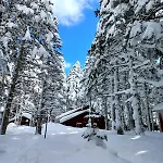 Hotel Karinna Orman Evleri Uludag (Bursa)