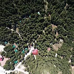 Karinna Orman Evleri 4*