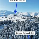 Karinna Orman Evleri Hotel 4*