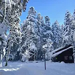 Karinna Orman Evleri 4* Uludag (Bursa)