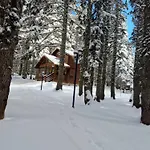Karinna Orman Evleri Uludag (Bursa)