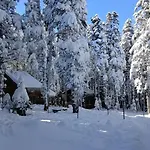 Karinna Orman Evleri Hotel Uludag (Bursa)