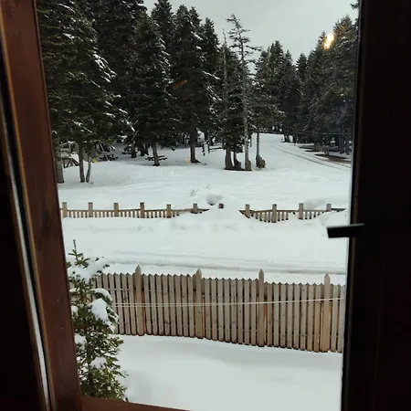 Karinna Orman Evleri&non Alcohol 4* Uludag (Bursa)