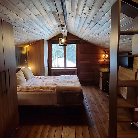 Karinna Orman Evleri 4* Uludag (Bursa)