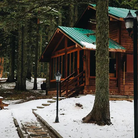 Karinna Orman Evleri 4*