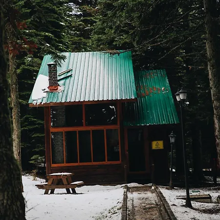 Karinna Orman Evleri