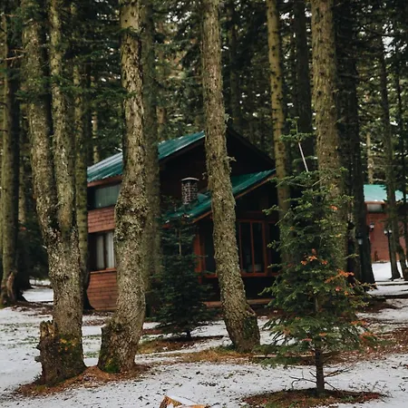 Lodge Karinna Orman Evleri & Non Alcohol Uludag (Bursa)