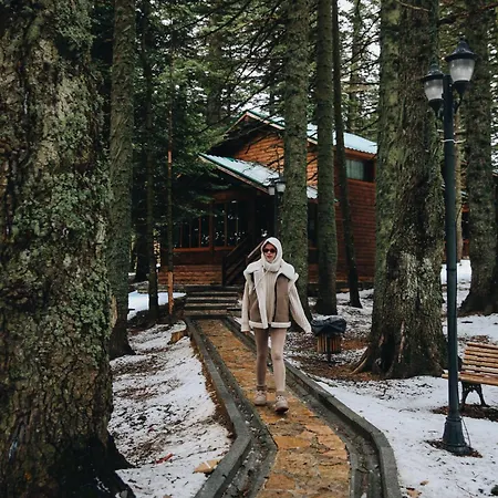 Karinna Orman Evleri 4* Uludag (Bursa)