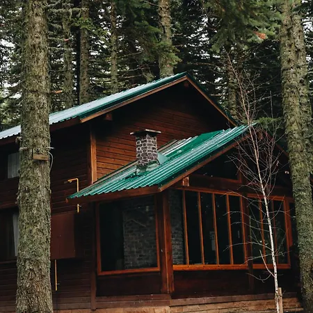 Hotel Karinna Orman Evleri