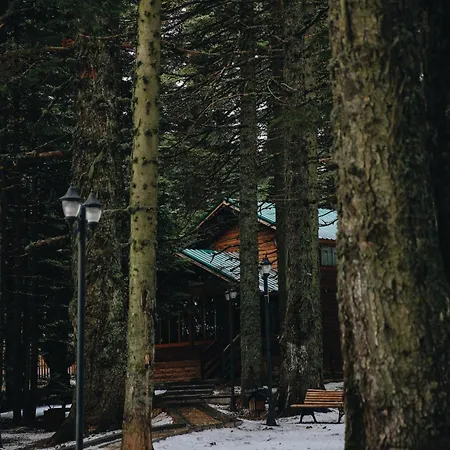 Karinna Orman Evleri Uludag (Bursa)