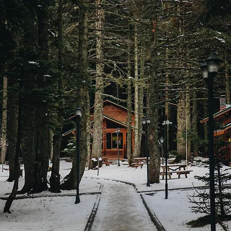 Karinna Orman Evleri & Non Alcohol Lodge