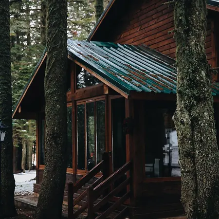 Hotel Karinna Orman Evleri 4*