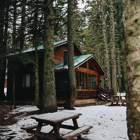 Karinna Orman Evleri 4*