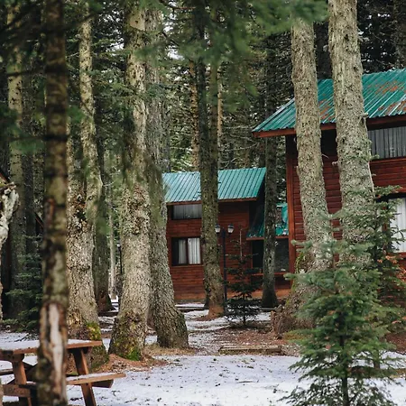 Karinna Orman Evleri