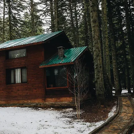 Karinna Orman Evleri 4* Uludag (Bursa)