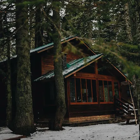 Hotel Karinna Orman Evleri