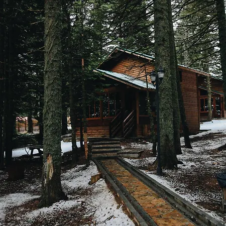 Karinna Orman Evleri