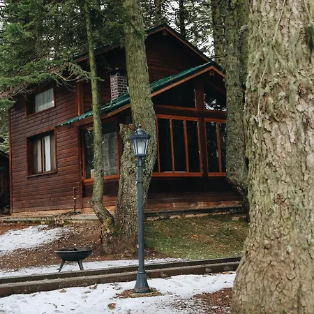 Karinna Orman Evleri&non Alcohol 4* Uludag (Bursa)