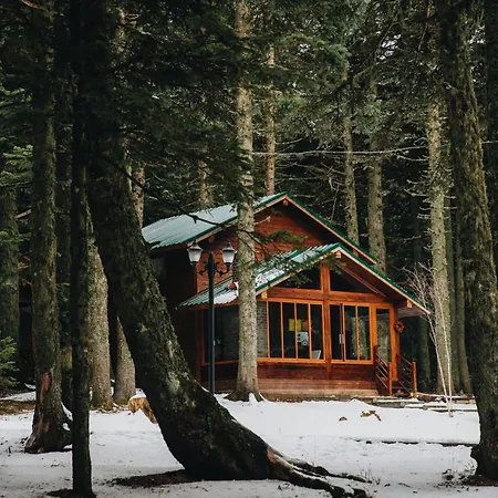 Karinna Orman Evleri