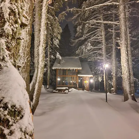 Karinna Orman Evleri Hotel