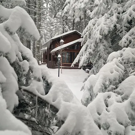 Karinna Orman Evleri Hotel 4*