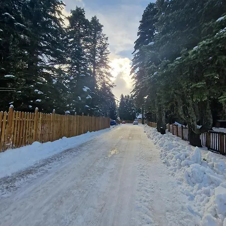 Karinna Orman Evleri & Non Alcohol Lodge Uludag (Bursa)
