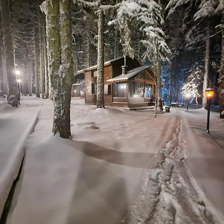 Karinna Orman Evleri 4*