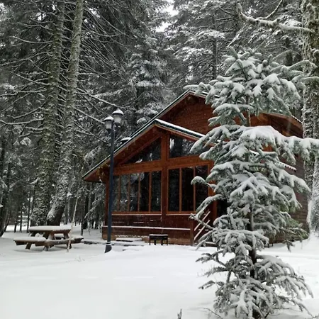 Karinna Orman Evleri Uludag (Bursa)