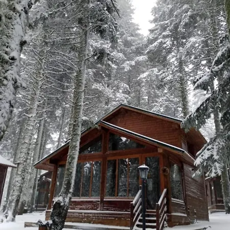 Hotel Karinna Orman Evleri