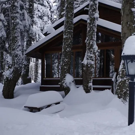 Karinna Orman Evleri Hotel Uludag (Bursa)
