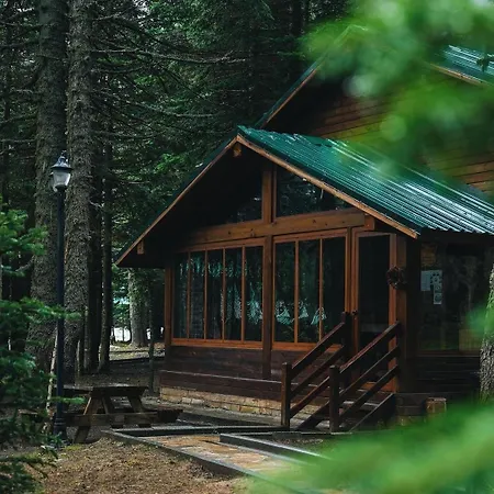 Karinna Orman Evleri