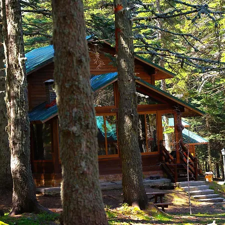 Hotel Karinna Orman Evleri 4*