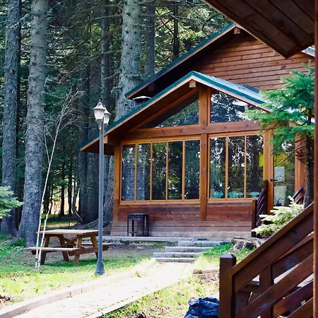 Karinna Orman Evleri Hotel Uludag (Bursa)