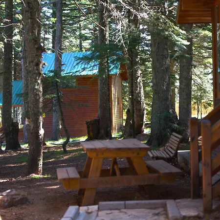 Karinna Orman Evleri Hotel