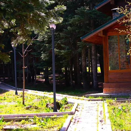 Hotel Karinna Orman Evleri