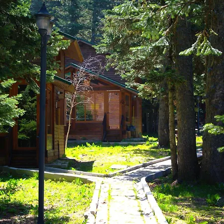 Karinna Orman Evleri&non Alcohol Hotell Uludag (Bursa)