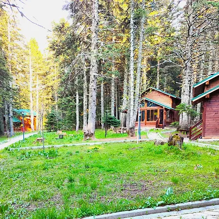 Karinna Orman Evleri&non Alcohol 4* Uludag (Bursa)