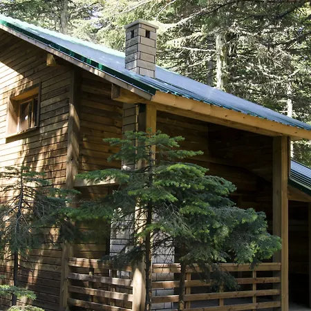 Hotel Karinna Orman Evleri