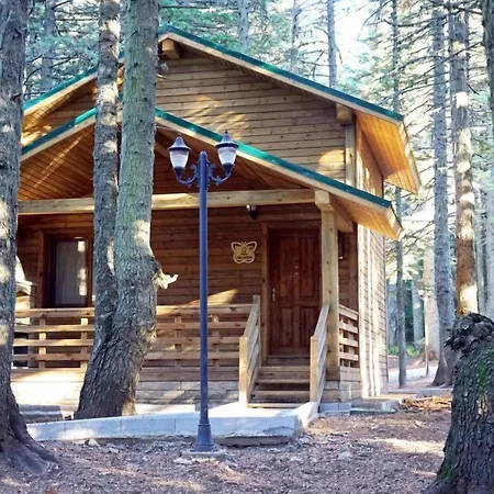 Karinna Orman Evleri Uludag (Bursa)