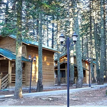 Karinna Orman Evleri 4*