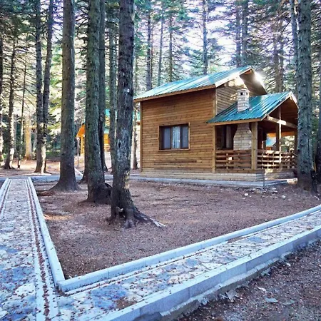 Hotel Karinna Orman Evleri