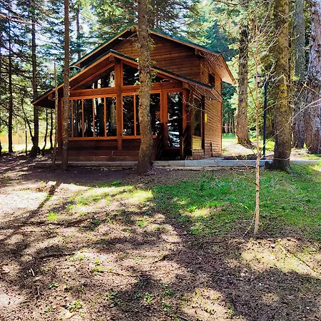 Hotel Karinna Orman Evleri 4*