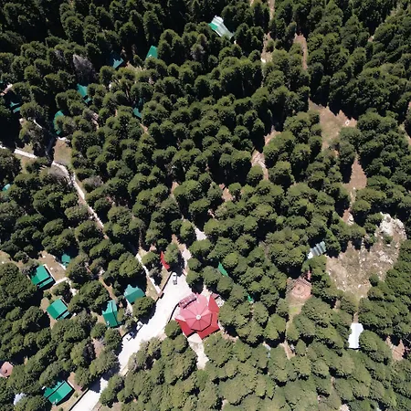 Karinna Orman Evleri Hotel 4*