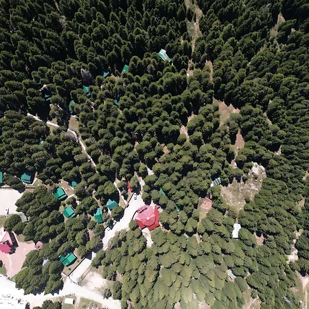 Karinna Orman Evleri 4*