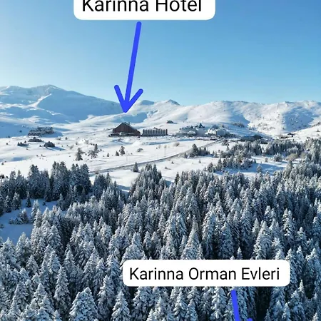 Karinna Orman Evleri Hotel 4*