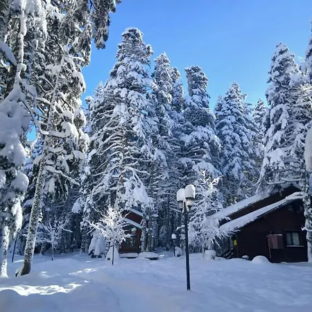 Karinna Orman Evleri 4* Uludag (Bursa)