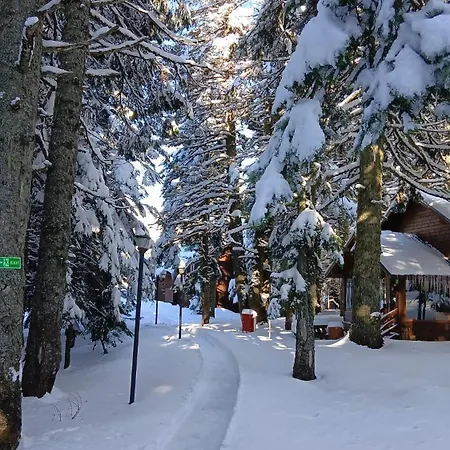 Karinna Orman Evleri Hotel Uludag (Bursa)