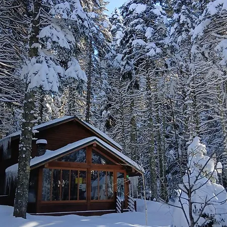 Karinna Orman Evleri Hotel