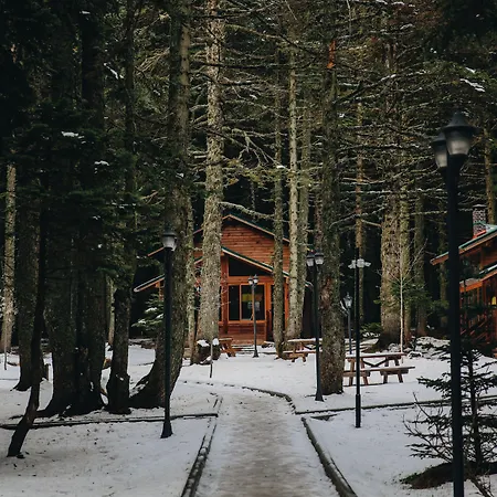 Karinna Orman Evleri 4* Uludag (Bursa)