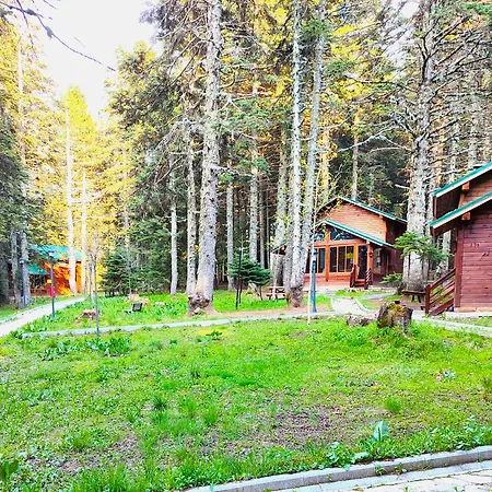 Karinna Orman Evleri Hotel